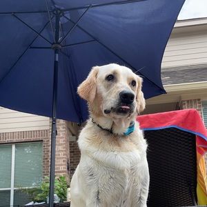 Meet your Posher, Ian